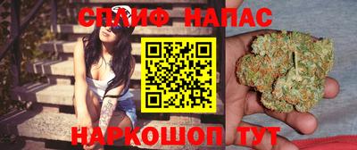 гидра Будённовск