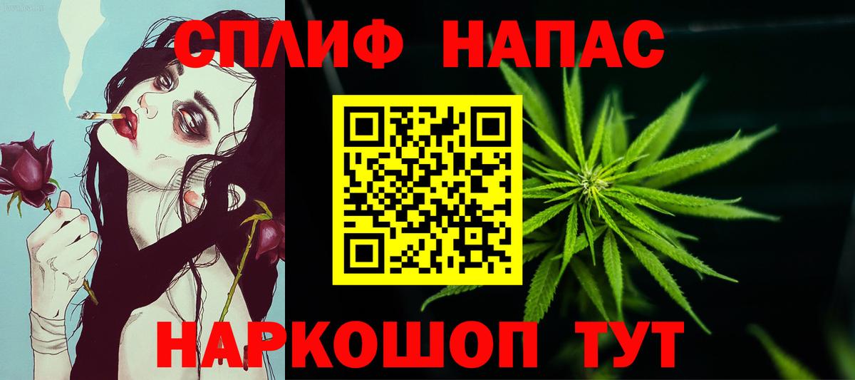 Бошки Шишки планчик  Бошки Шишки семена  Вход с VPN  Кизилюрт 